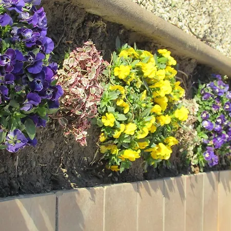 Bed & Breakfast Gruendner Vendeghaz Siófok