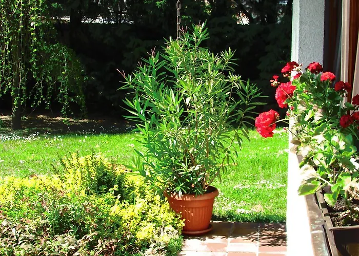 Gruendner Vendeghaz Siofok