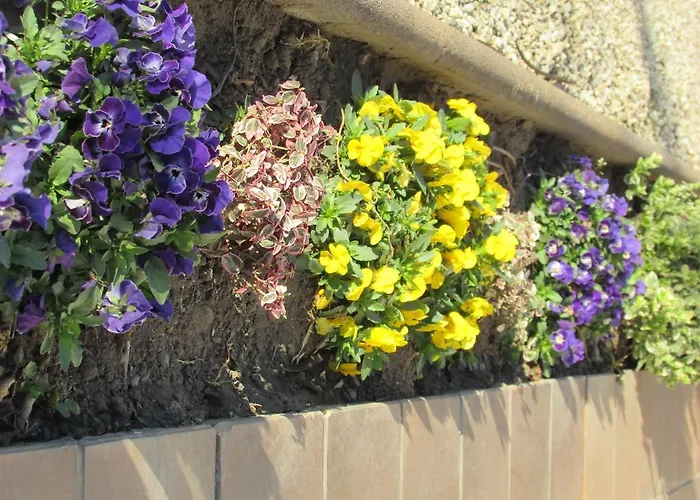 Oda ve Kahvaltı Gruendner Vendeghaz Siofok